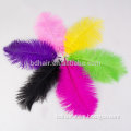 wholesale natural new design ostrich feathers for wedding decoration ostrich feather